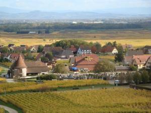Maisons de vacances Gites Les Cepages : photos des chambres