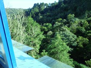 Golden Forest Pousada