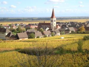 Maisons de vacances Gites Les Cepages : photos des chambres