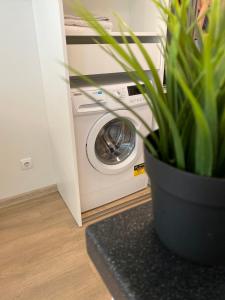 Malūno Vilos Apartments