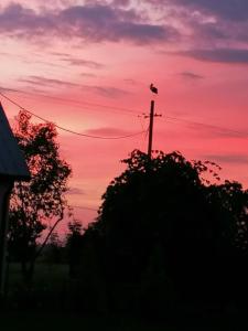 Dom i Pokoje Gościnne Zaruby Sejny