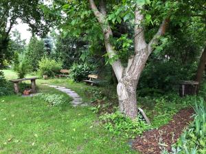 Domek całoroczny blisko lasu i morza na urokliwej działce 4300 m2