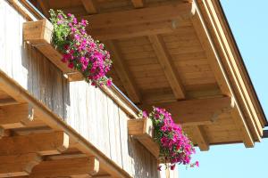 Annika Apartments summer card included