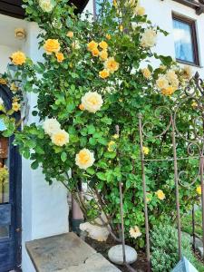 HotelPension Rosengarten