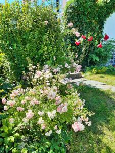 HotelPension Rosengarten