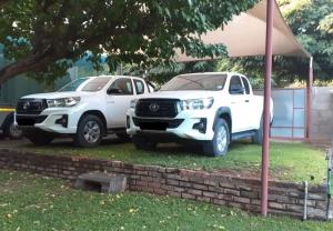 The Big Tree Guest House