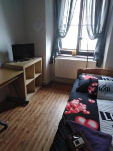 Single Room room in Penzion Willa