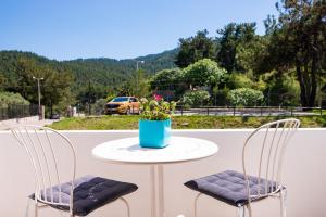 Villa Victoria Apartments Thassos Greece