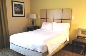 One-Bedroom Queen Suite - Non-Smoking room in Candlewood Suites Greenville NC an IHG Hotel