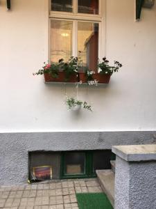 House Centrul Istoric