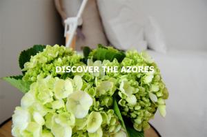 VerdeÁgua Family Home