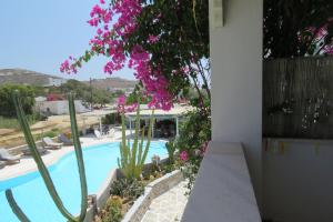 Corali Hotel Beach Front Property Ios Greece
