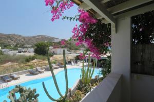 Corali Hotel Beach Front Property Ios Greece