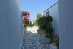 Corali Hotel Beach Front Property Ios Greece