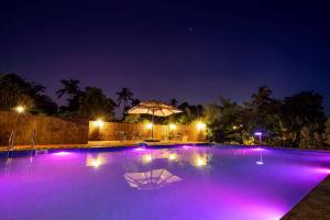 The Palmnest Resort