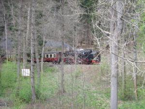 Ferienhaus Hubertus in Elend mit Balkons