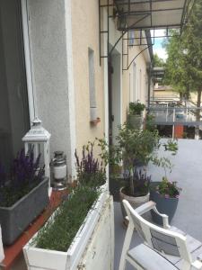 Villa Italiana