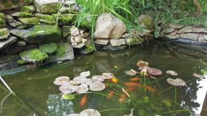 APARTMÁNY POD ČERCHOVEM