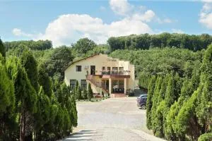 Pensiunea Cavaler - Hidişelul-de-Jos