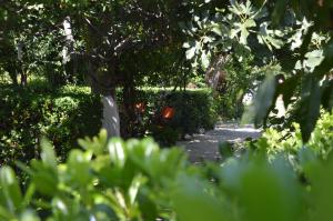 AIOLIS VITHOS Nisos-Samothraki Greece