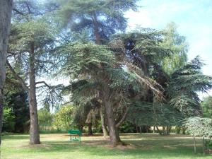 B&B / Chambres d'hotes Chateau Le Guit : photos des chambres