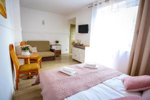 Studio with Terrace room in Villa Róża