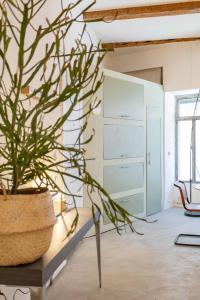 Appartements Chic et moderne : photos des chambres