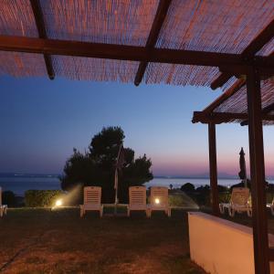 Pomme de la mer Halkidiki Greece