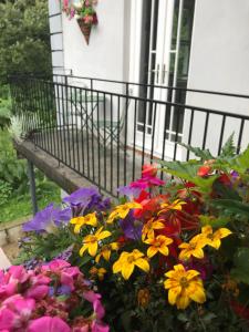 Blackhill Woods Retreat