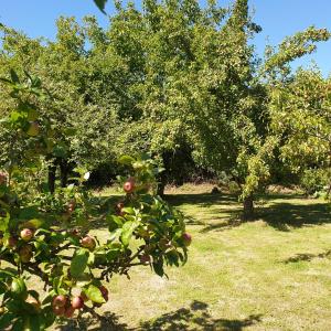 Maisons de vacances Gite de la Founauderie : photos des chambres