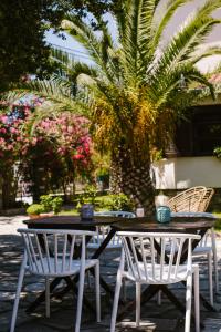 Hotel Kavala - Boutique Hotel Thassos Greece