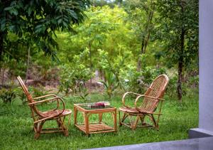 Whistling Woodzs Resort