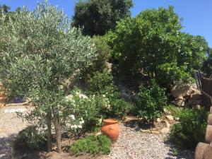 Villa Gardenia mit Pool und traumhaftem Meerblick