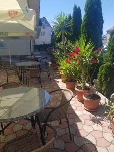 Vila 45 & Casa Galbena