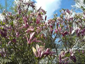 Bed & Breakfast Maria