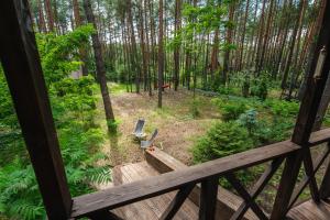 Masuria Warsaw - dom na wyłączność - w lesie i przy rzece - 15 min od Warszawy