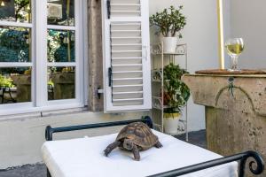 Perfetto Perasto Residence