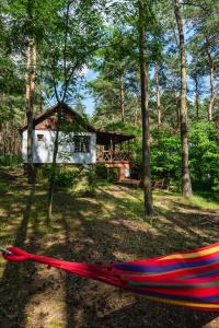 Masuria Warsaw - dom na wyłączność - w lesie i przy rzece - 15 min od Warszawy