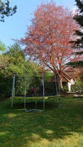 Sejours chez l'habitant Le Manoir de Louviers : photos des chambres