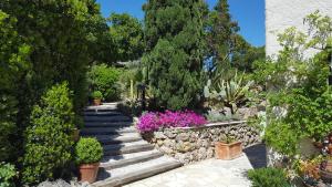 Villa Port Sud photo 12