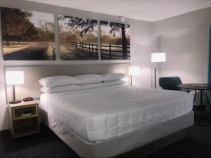 King Room - Non-Smoking room in Days Inn & Suites by Wyndham Lexington