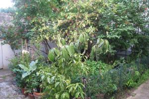 Charmante maisonnette aux portes de paris