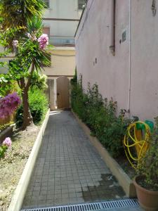 AlCentro img41