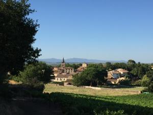 Maisons de vacances Plein Sud : jolie maison dans village pittoresque de l'Herault. : photos des chambres