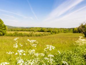 Maisons de vacances Beautiful Holiday Home in Aquitaine near the Forest : photos des chambres