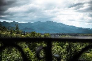 Apartamenty U Jagielonki Jacuzzi & Sauna