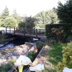 Appartements LES ENFANTS DU MOULIN : photos des chambres