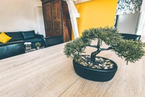 Appartements Suite PREMIUM LE FIGARO 2 : photos des chambres