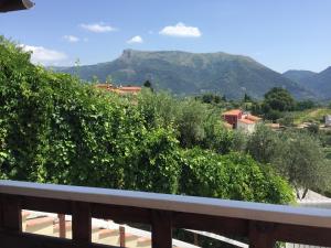 Baita Chalet del Colle