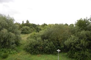 Apartment am Steinweg